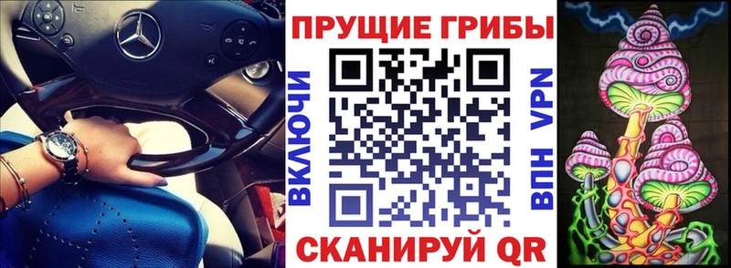 Псилоцибиновые грибы GOLDEN TEACHER  Купить закладки  Суровикино 